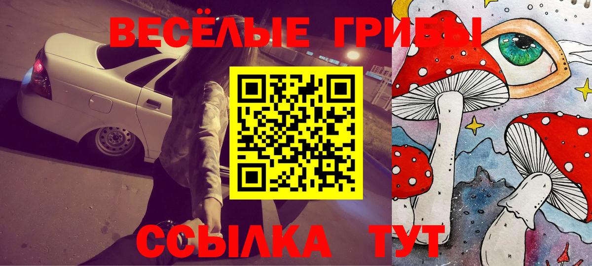 Галлюциногенные грибы мицелий  Вход с VPN  Кемерово 